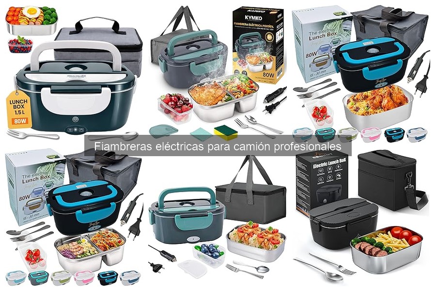 Alternativas a fiambreras eléctricas para camiones