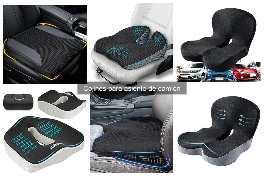 Comparativa de los Mejores Cojines para Asiento de Camión