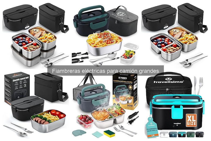 Configuraciones de Fiambreras Eléctricas para Viajes en Camión
