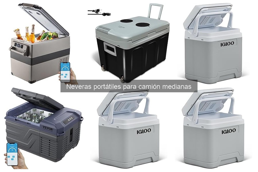 Mantenimiento de neveras portátiles para camión: consejos prácticos
