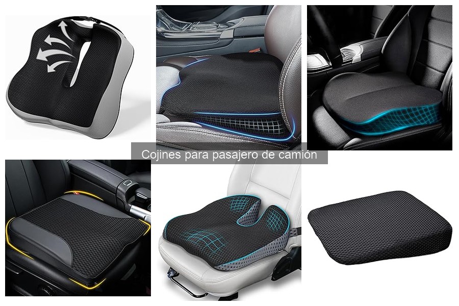 Precios de cojines para pasajero de camión: guía y comparativa