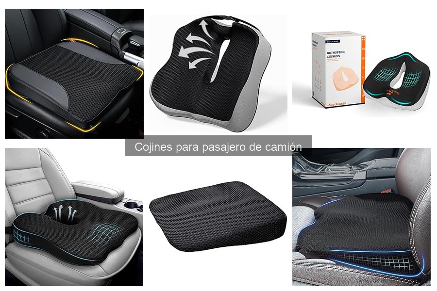 Tipos de Cojines para Pasajero de Camión: Guía Completa