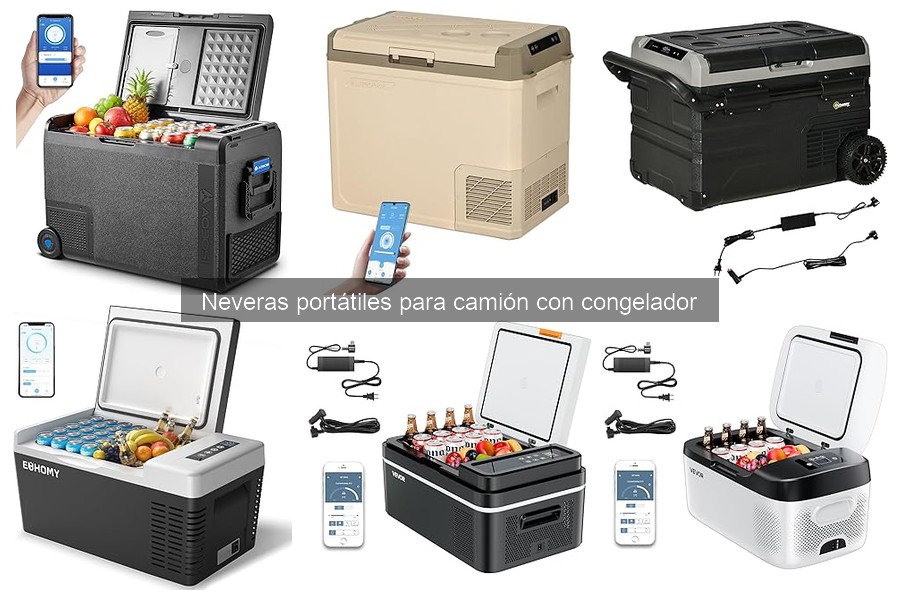 Tipos de neveras portátiles para camión y sus funciones